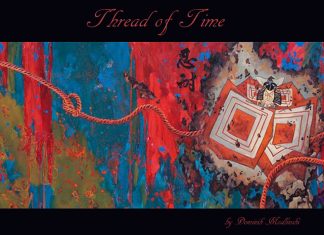 Sake and Sushi Dreams Global EAT - Sake and Sushi Dreams