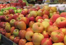 Apples: Top 7 Benefits for Your Health and Appearance