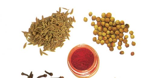 The Other Side of India Awaiting More Discovery Global EAT - The Other Side of India Awaiting More Discovery