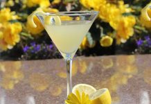 Namaste Poptail: Healthy Frozen Summer Treat Global EAT - Namaste Poptail: Healthy Frozen Summer Treat