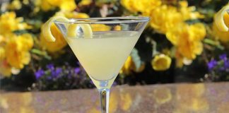 Namaste Poptail: Healthy Frozen Summer Treat Global EAT - Namaste Poptail: Healthy Frozen Summer Treat