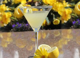 Namaste Poptail: Healthy Frozen Summer Treat Global EAT - Namaste Poptail: Healthy Frozen Summer Treat