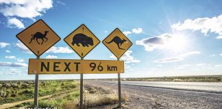 Think Australia: Striking Beaches, Quirky Creatures and Exotic Dishes Global EAT - Think Australia: Striking Beaches, Quirky Creatures and Exotic Dishes