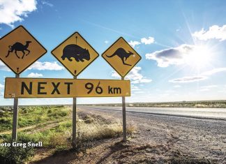 Think Australia: Striking Beaches, Quirky Creatures and Exotic Dishes Global EAT - Think Australia: Striking Beaches, Quirky Creatures and Exotic Dishes