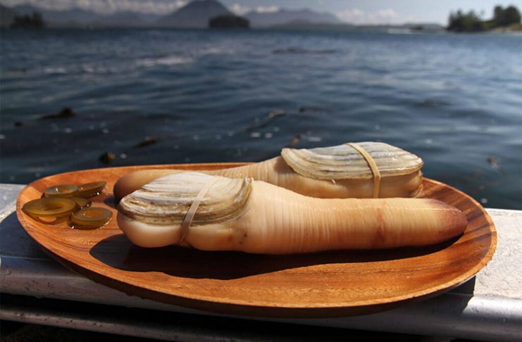 Vancouver: Goodbye Chop Suey – Welcome Geoduck Global EAT - Vancouver: Goodbye Chop Suey, Welcome Geoduck