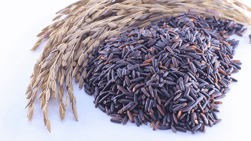Global EAT - Thai Riceberry: North America's Next Super Grain