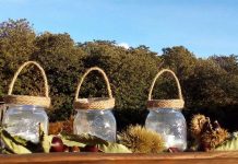 Chestnuts: A Sweet Secret to Health Global EAT - Beyond the Chestnut Groves in Sicily's Mount Etna