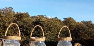 Chestnuts: A Sweet Secret to Health Global EAT - Beyond the Chestnut Groves in Sicily's Mount Etna