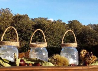 Chestnuts: A Sweet Secret to Health Global EAT - Beyond the Chestnut Groves in Sicily's Mount Etna