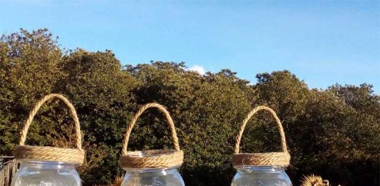 Chestnuts: A Sweet Secret to Health Global EAT - Beyond the Chestnut Groves in Sicily's Mount Etna