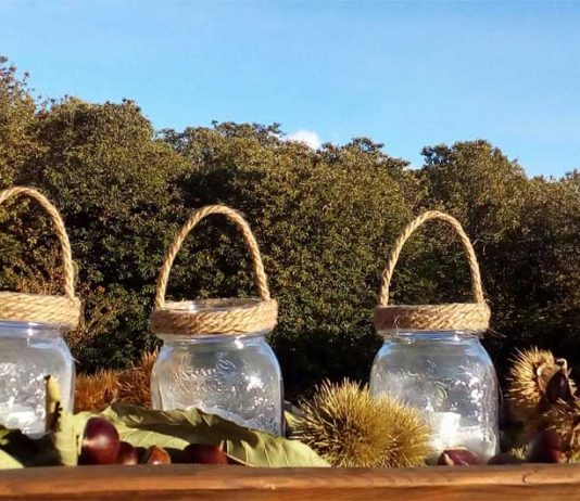 Chestnuts: A Sweet Secret to Health Global EAT - Beyond the Chestnut Groves in Sicily's Mount Etna