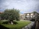 Hotel Bosco Ciancio: Beyond the Chestnut Groves in Sicily’s Mount Etna Global EAT - Beyond the Chestnut Groves in Sicily's Mount Etna