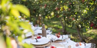 Abbotsford: Culinary and Fun Getaways Packed with Tasty Thrills Global EAT - Abbotsford: Culinary and Fun Getaways Packed with Tasty Thrills