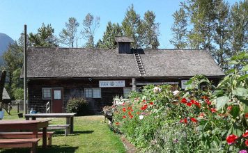 Kilby: Fraser Valley’s Hidden Gem Bubbling with Fascination Global EAT - Kilby: Fraser Valley’s Hidden Gem Bubbling with Fascination