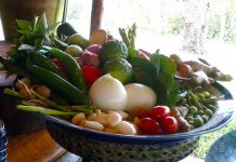 Thai Curry Paste: The Quick and Simple Way to Delicious Flavours Global EAT - Thai Red and Green Curry Paste