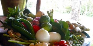 Thai Curry Paste: The Quick and Simple Way to Delicious Flavours Global EAT - Thai Red and Green Curry Paste