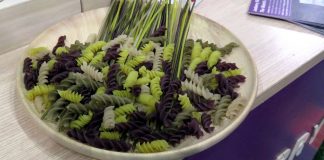 Siam Organic: Igniting Change with Jasberry Global EAT - Siam Organic: Igniting Change with Jasberry