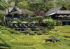 Four Seasons Resort Chiang Mai: Enriching Culinary Escape in Unpretentious Luxury Global EAT - Four Seasons Resort Chiang Mai: Enriching Culinary Escape in Unpretentious Luxury