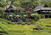 Four Seasons Resort Chiang Mai: Enriching Culinary Escape in Unpretentious Luxury Global EAT - Four Seasons Resort Chiang Mai: Enriching Culinary Escape in Unpretentious Luxury