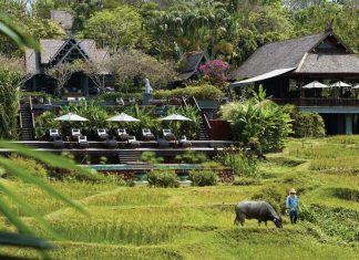 Four Seasons Resort Chiang Mai: Enriching Culinary Escape in Unpretentious Luxury Global EAT - Four Seasons Resort Chiang Mai: Enriching Culinary Escape in Unpretentious Luxury