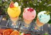 The Scoop: Is Gelato Healthier than Ice-Cream? Global EAT - The Scoop: Is Gelato Healthier than Ice-Cream?