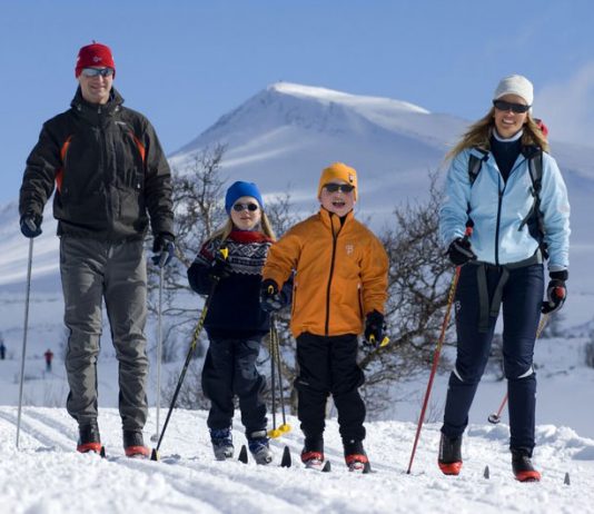 Why Norway Shines beyond Olympic Gold Medals Global EAT - Why Norway Shines beyond Olympic Gold Medals