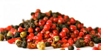 Hot Pepper Concocted for Fiery Lovers Global EAT - Hot Pepper Concocted for Fiery Lovers