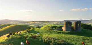 Experience Ireland at Vancouver’s First Irish Film Festival Global EAT - Experience Ireland at Vancouver’s First Irish Film Festival