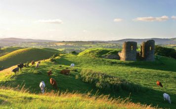 Experience Ireland at Vancouver’s First Irish Film Festival Global EAT - Experience Ireland at Vancouver’s First Irish Film Festival