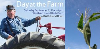 Day at the Farm: Connect with Real Farmers and Eat Real Food Global EAT - Day at the Farm