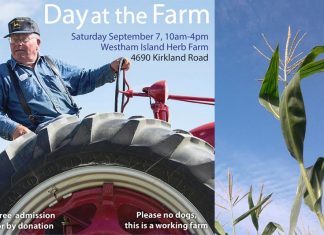 Day at the Farm: Connect with Real Farmers and Eat Real Food Global EAT - Day at the Farm