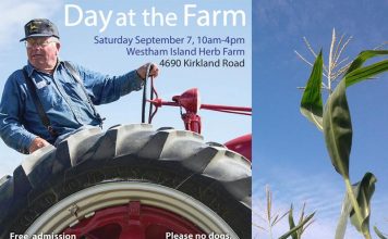 Day at the Farm: Connect with Real Farmers and Eat Real Food Global EAT - Day at the Farm