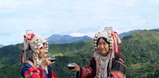 Doi Chaang Coffee: Transforming Lives One Cup at a Time Global EAT - Doi Chaang Coffee: Transforming Lives One Cup at a Time