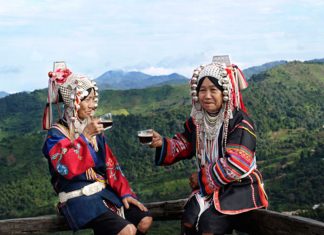 Doi Chaang Coffee: Transforming Lives One Cup at a Time Global EAT - Doi Chaang Coffee: Transforming Lives One Cup at a Time