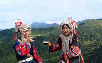 Doi Chaang Coffee: Transforming Lives One Cup at a Time Global EAT - Doi Chaang Coffee: Transforming Lives One Cup at a Time