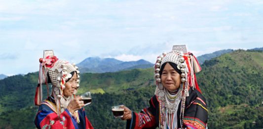 Doi Chaang Coffee: Transforming Lives One Cup at a Time Global EAT - Doi Chaang Coffee: Transforming Lives One Cup at a Time