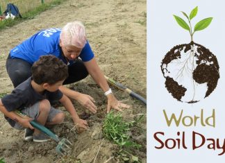 World Soil Day: Environmental Celebration Honours Thailand’s Late King Global EAT - World Soil Day: Environmental Celebration Honours Thailand’s Late King
