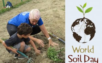 World Soil Day: Environmental Celebration Honours Thailand’s Late King Global EAT - World Soil Day: Environmental Celebration Honours Thailand’s Late King