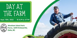 Experience A Day at the Farm Global EAT - A Day at the Farm