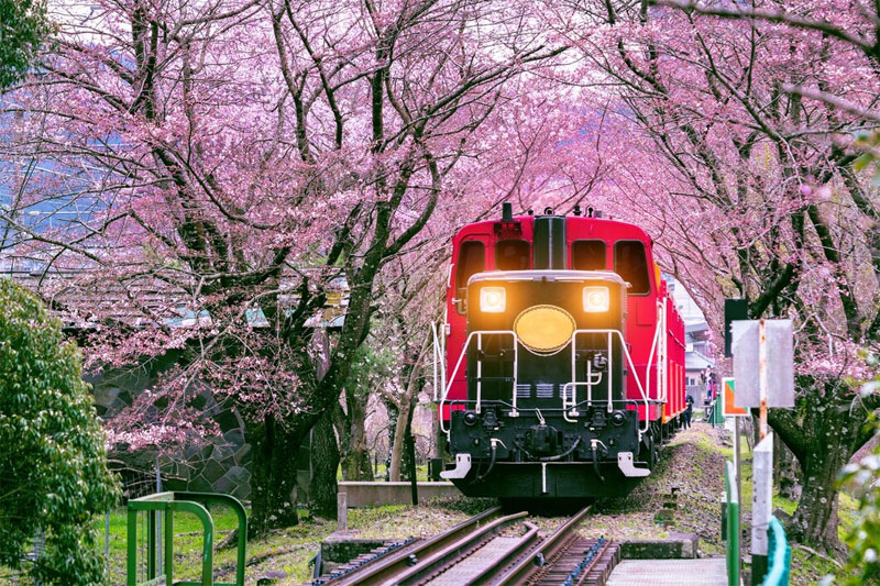 Global EAT - Explore Japan: Free Domestic Travel with JAL to Hidden Gems