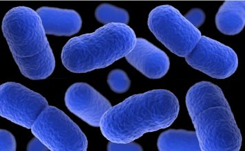 Listeria Risk for White Chicken and Mushroom Sauce and Ready-to-Eat Meat Products Global EAT - Listeria Risk for White Chicken and Mushroom Sauce and Ready-to-Eat Meat Products