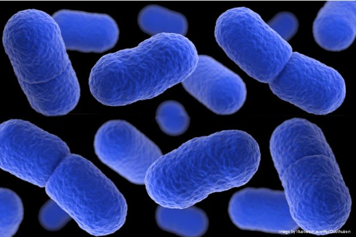 Global EAT - Listeria Risk for White Chicken and Mushroom Sauce and Ready-to-Eat Meat Products