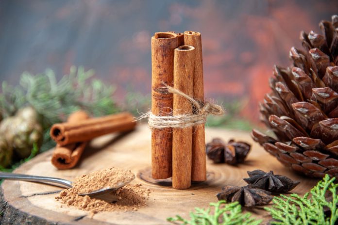 Global EAT - Cinnamon Spice Under Fire: Health Risks You Need to Know