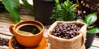 Coffee: World’s Top Java Guzzlers and Why Poop Beans are So Expensive? Global EAT - Coffee: World’s Top Java Guzzlers and Why Poop Beans are So Expensive?