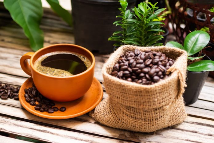 Global EAT - Coffee: World’s Top Java Guzzlers and Why Poop Beans are So Expensive?