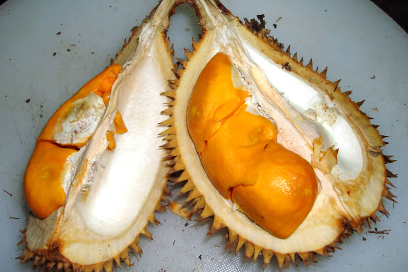 Global EAT - Malaysian Durian: How the World’s Most Polarizing Fruit Becomes a Global Obsession
